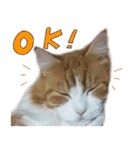 だいくろふみ（個別スタンプ：4）