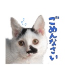 だいくろふみ（個別スタンプ：6）