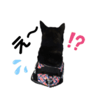 黒柴ロイ（個別スタンプ：29）