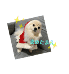 我が家 の こまち 2（個別スタンプ：6）