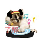 ニャワールド（個別スタンプ：2）