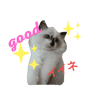 ニャワールド（個別スタンプ：8）