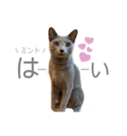 マーブル＆ミント（個別スタンプ：4）