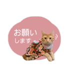 マーブル＆ミント（個別スタンプ：9）