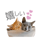 マーブル＆ミント（個別スタンプ：18）