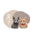 マーブル＆ミント（個別スタンプ：19）