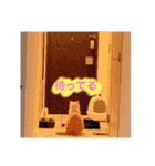 ニャンズ❤️（個別スタンプ：18）