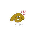 ゆるトイプードル（個別スタンプ：13）