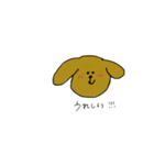 ゆるトイプードル（個別スタンプ：14）