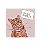 愉快な仲間たち(犬ネコ様)（個別スタンプ：1）