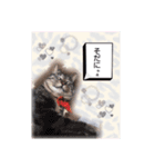 愉快な仲間たち(犬ネコ様)（個別スタンプ：2）