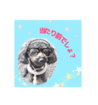 愉快な仲間たち(犬ネコ様)（個別スタンプ：4）