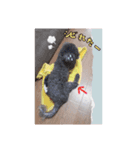 愉快な仲間たち(犬ネコ様)（個別スタンプ：8）