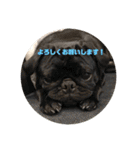 五右衛門次元フォウ（個別スタンプ：2）