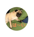 五右衛門次元フォウ（個別スタンプ：3）