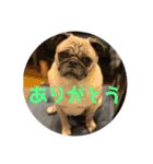 五右衛門次元フォウ（個別スタンプ：5）