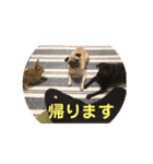 五右衛門次元フォウ（個別スタンプ：7）