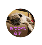 五右衛門次元フォウ（個別スタンプ：17）