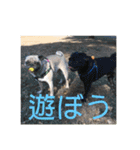 五右衛門次元フォウ（個別スタンプ：18）