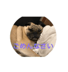 五右衛門次元フォウ（個別スタンプ：20）