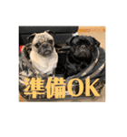 五右衛門次元フォウ（個別スタンプ：21）