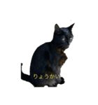 みけねこみーちゃん2（個別スタンプ：2）