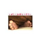 くみすたんぷ（個別スタンプ：10）