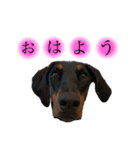 ぺーたんベーたん（個別スタンプ：1）