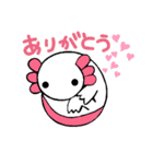 ウーパールーパーのちょん③（個別スタンプ：4）