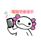 ウーパールーパーのちょん③（個別スタンプ：12）