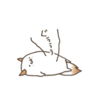 もちねこズのゆるいスタンプ（個別スタンプ：7）