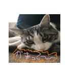 可愛い小麦ちゃん 第二弾！！（個別スタンプ：4）