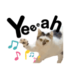 あんこのこ日常会話ver.②（個別スタンプ：10）