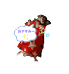 チワワのジロさん2（個別スタンプ：2）