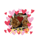 うさぎ(こむぎ)（個別スタンプ：3）