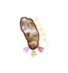 うさぎ(こむぎ)（個別スタンプ：5）