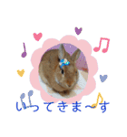 うさぎ(こむぎ)（個別スタンプ：13）