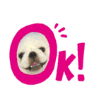 ましゅまろくんにメロメロ（個別スタンプ：1）