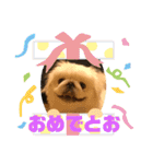 ましゅまろくんにメロメロ（個別スタンプ：3）