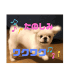 ましゅまろくんにメロメロ（個別スタンプ：6）