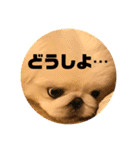 ましゅまろくんにメロメロ（個別スタンプ：14）
