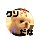 ましゅまろくんにメロメロ（個別スタンプ：21）