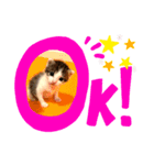 ゆずとハク（個別スタンプ：5）