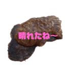 家族とその仲間たち①（個別スタンプ：3）