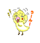 パタかわインコ（個別スタンプ：12）