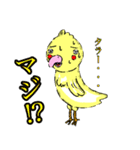 パタかわインコ（個別スタンプ：13）