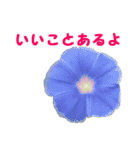 やさしい花のお返事スタンプ♪（個別スタンプ：2）