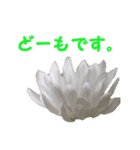 やさしい花のお返事スタンプ♪（個別スタンプ：5）