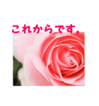 やさしい花のお返事スタンプ♪（個別スタンプ：6）