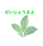 やさしい花のお返事スタンプ♪（個別スタンプ：7）